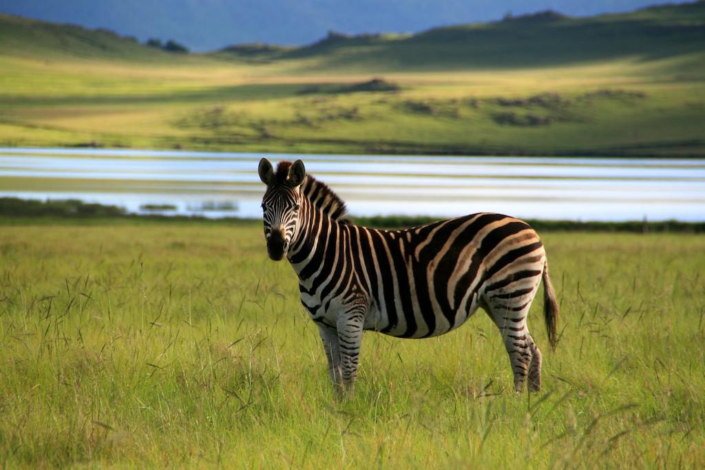 Sani Valley Nature Lodges Himeville Bagian luar foto