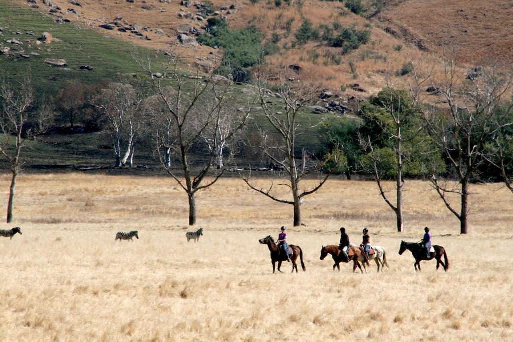 Sani Valley Nature Lodges Himeville Bagian luar foto