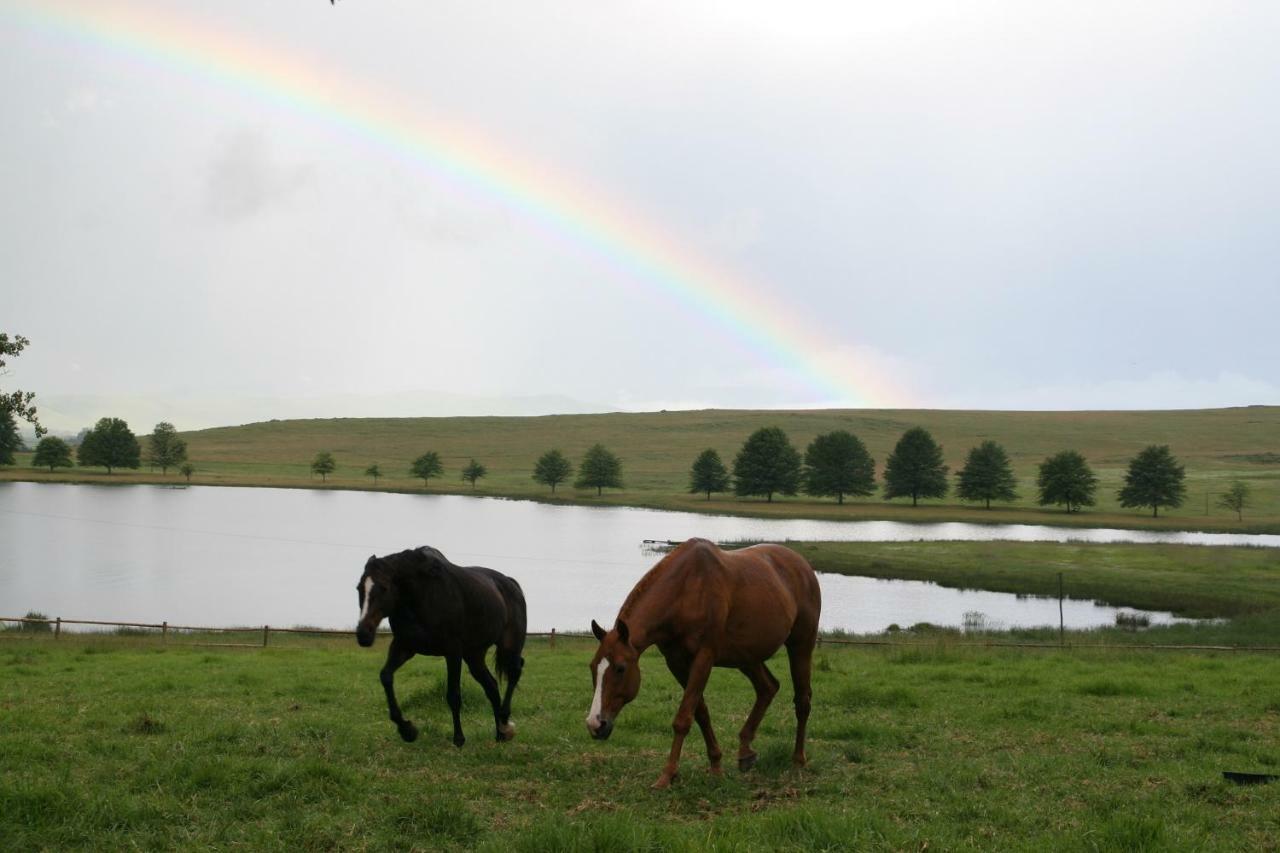 Sani Valley Nature Lodges Himeville Bagian luar foto