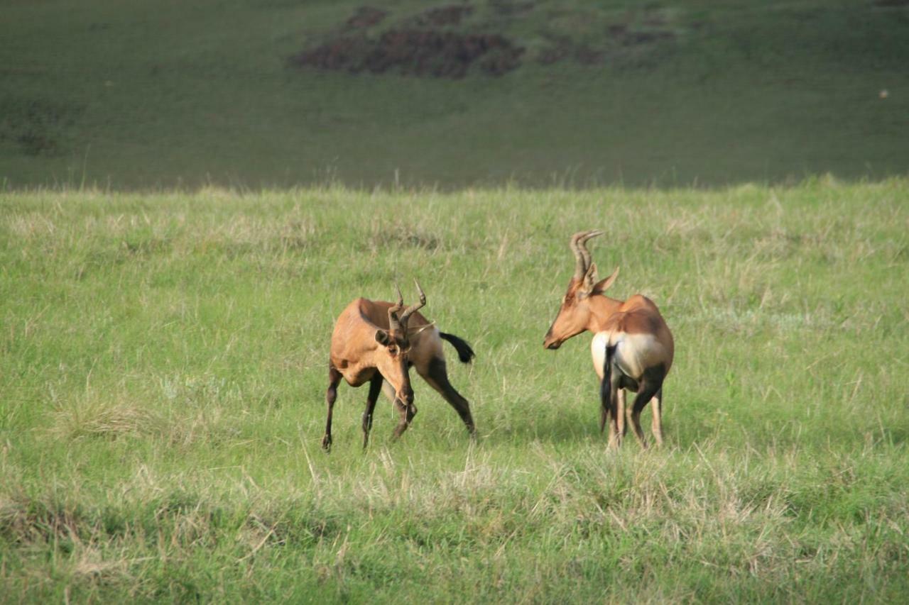 Sani Valley Nature Lodges Himeville Bagian luar foto